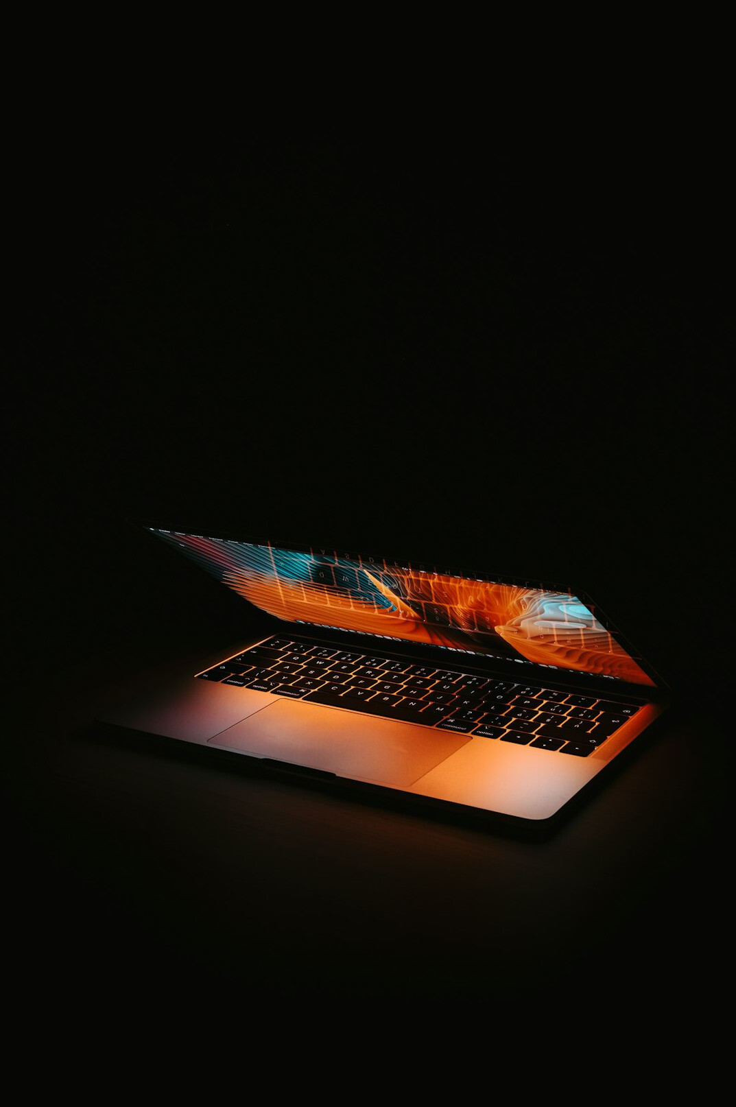 online activism laptop